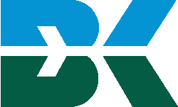 BK_consult_COLOR TRANS LOGO