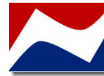 NLI Logo